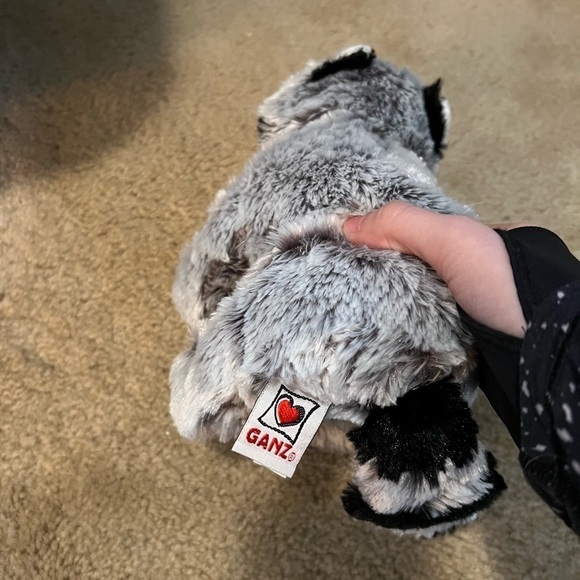 Ganz Webkinz Raccoon - Picture 3 of 4